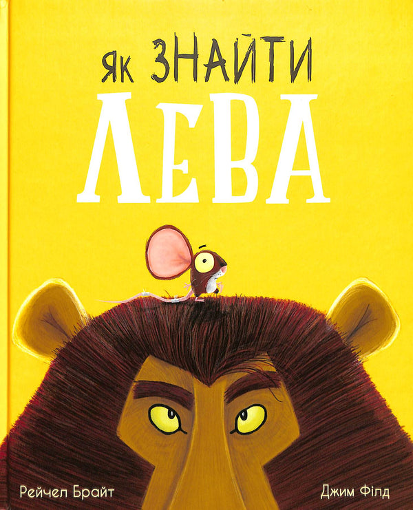 How to find a lion?